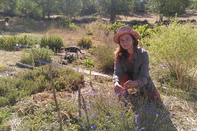 Ecotourism: Organic Farm & Animal Tour near Serra da Estrela - Who Will Get the Most From This Visit