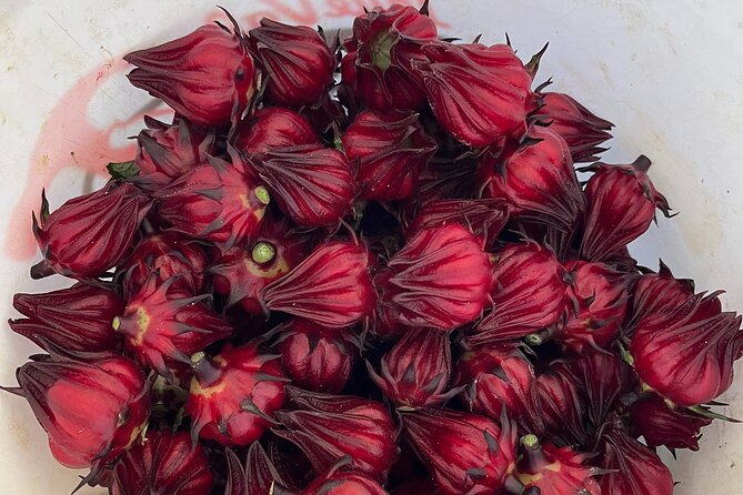 Edible Hibiscus Guided Farm Tour (Big Island) - Inside the hydroponic greenhouse