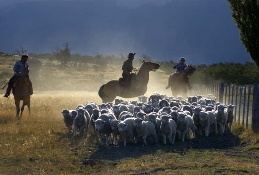 El Calafate: Nibepo Aike Ranch with Horseback Riding - Should you book Nibepo Aike Ranch?