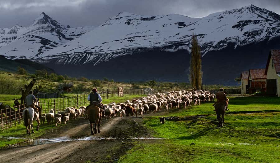 El Calafate: Nibepo Aike Ranch with Horseback Riding - Lamb asado in the quincho