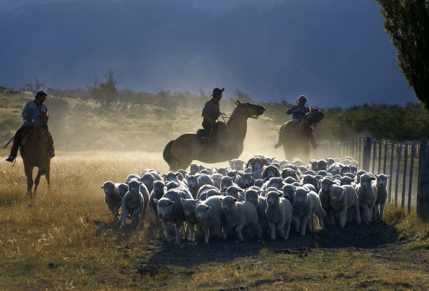 El Calafate: Nibepo Aike Ranch with Horseback Riding - Who will enjoy this ranch day most?