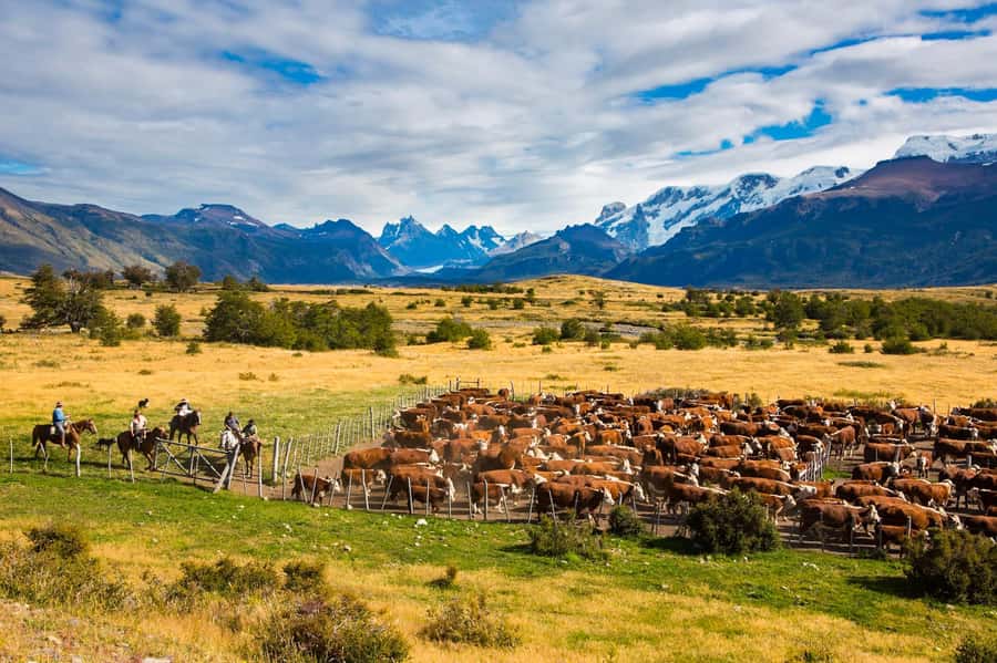 El Calafate: Nibepo Aike Ranch with Horseback Riding - Arriving at Nibepo Aike inside Los Glaciares National Park
