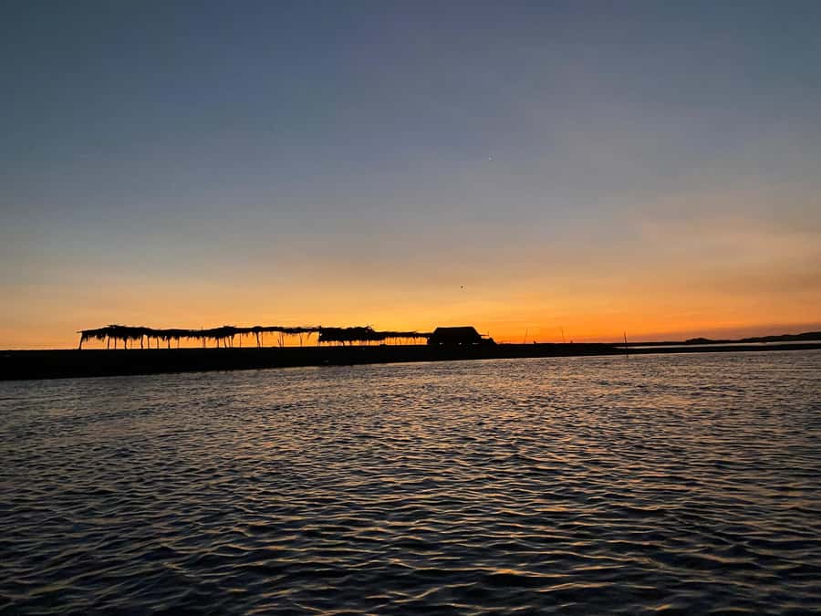 El Paredón: Sea Turtle and Salt Farm Tour - Salt farms from December through April