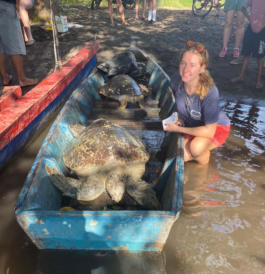 El Paredón: Sea Turtle and Salt Farm Tour - Practical preparation for the port and boat