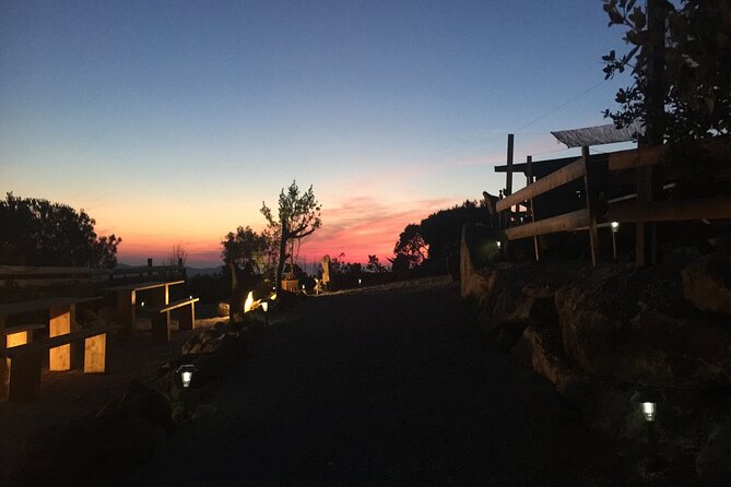 Elba Island Farmhouse tasting experience - Organic wine and the value of an all-inclusive meal