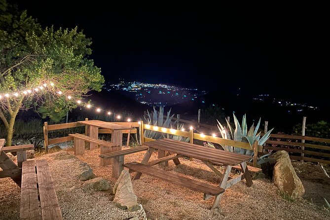 Elba Island Farmhouse tasting experience - Why the 15-person limit matters