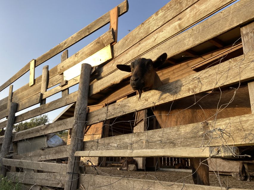 Elba: Tuscan Farmhouse Tasting - Is $70 a fair price?