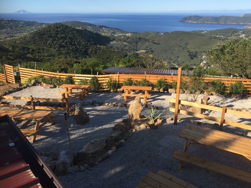 Elba: Tuscan Farmhouse Tasting - Lunch or dinner: choosing the better time