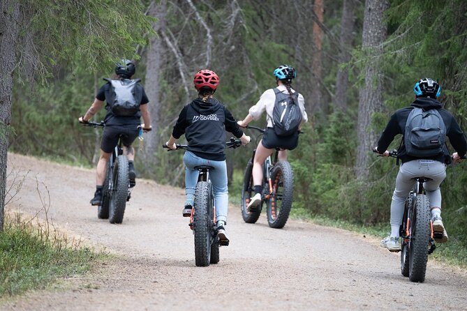 Electric Fatbike Trip to the Reindeer Farm - Starting in Rovaniemi at 8:30 a.m.