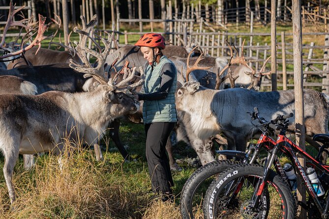 Electric Fatbike Trip to the Reindeer Farm - What the $177.44 price includes in practical terms