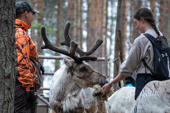 Electric Fatbike Trip to the Reindeer Farm - Forty-five minutes through Lapland forest