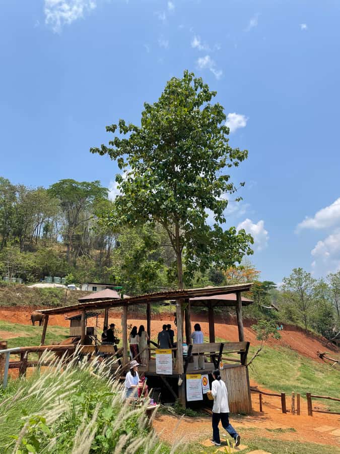 Elefin Farm & Cafe Half-day tour with Private Car - Should you book Elefin Farm & Cafe with private transport?