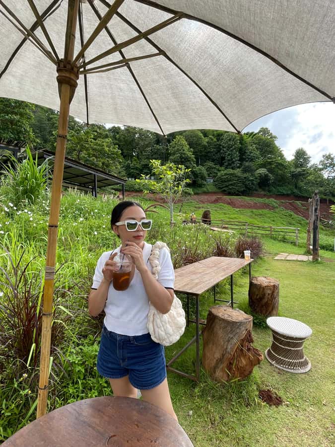 Elefin Farm & Cafe Half-day tour with Private Car - Wat Phrathat Doi Kham adds a temple stop