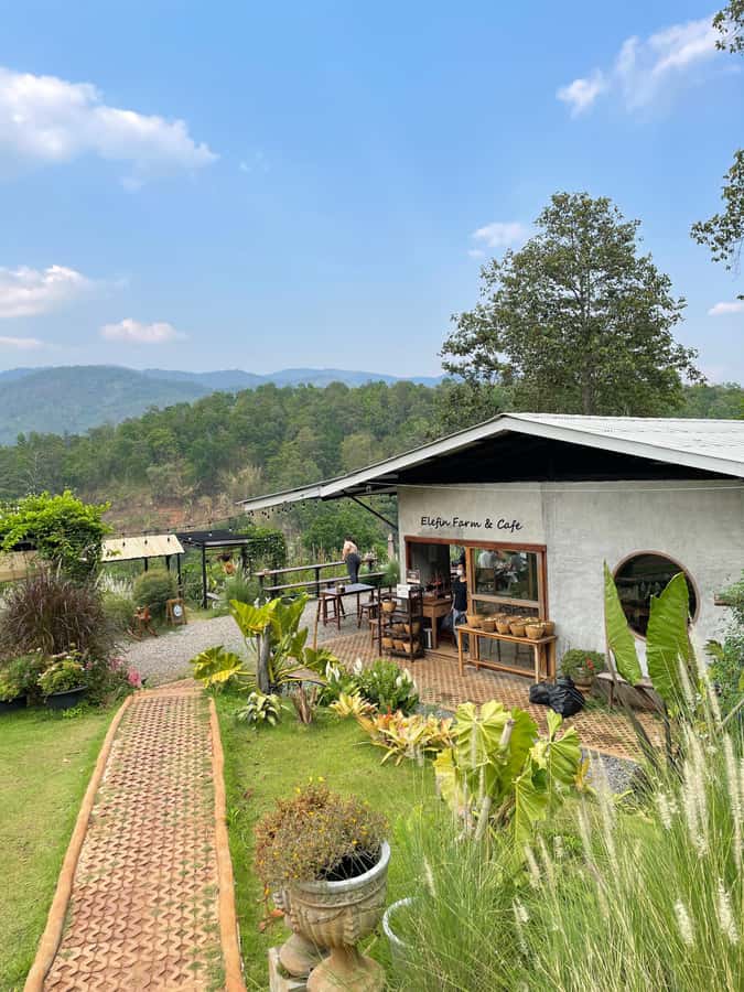Elefin Farm & Cafe Half-day tour with Private Car - Who should book this private outing?