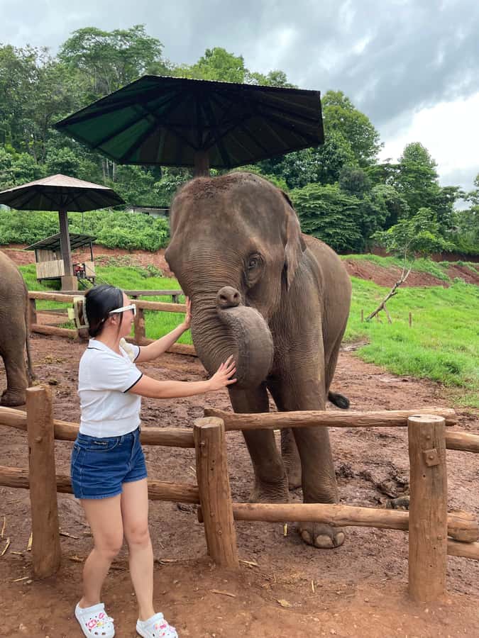Elefin Farm & Cafe Half-day tour with Private Car - The drive from Chiang Mai to Elefin Farm
