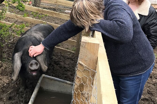 Errichel Farm Tour - Meeting Becky at 10:00 am