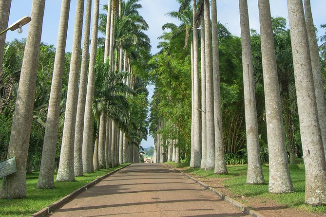 Escape Accra City to Aburi Gardens and Tetteh Quarshie Cocoa Farms - Why this makes a good break from Accra