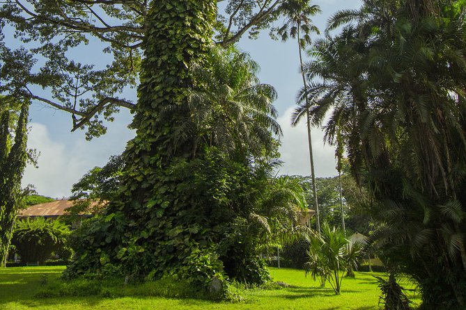 Escape Accra City to Aburi Gardens and Tetteh Quarshie Cocoa Farms - A practical look at the Aburi Crafts Village