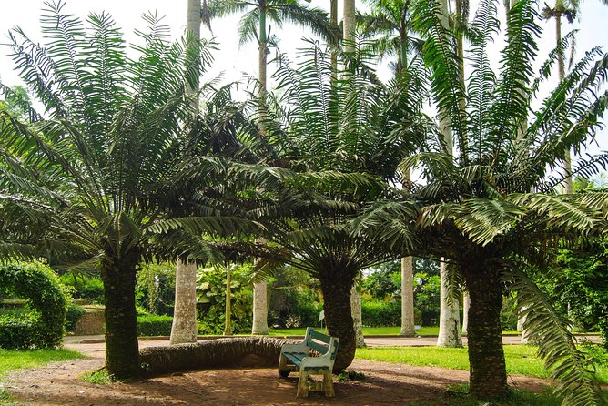 Escape Accra City to Aburi Gardens and Tetteh Quarshie Cocoa Farms - Private transport and the pickup details that matter