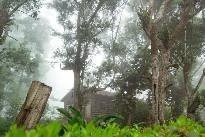 Escape Accra City to Aburi Gardens and Tetteh Quarshie Cocoa Farms - Is $170 a fair price?