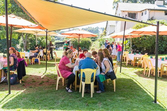 Excursion to Kiambethu Tea Farm - The morning pickup and nine-hour schedule