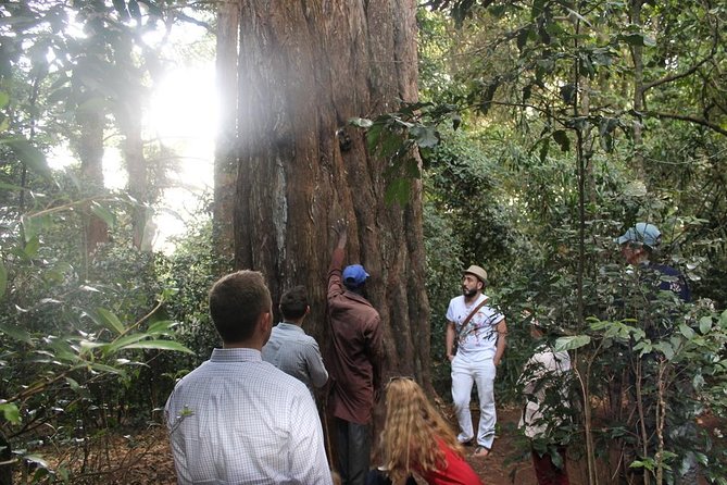 Excursion to Kiambethu Tea Farm - Who will enjoy this farm outing most