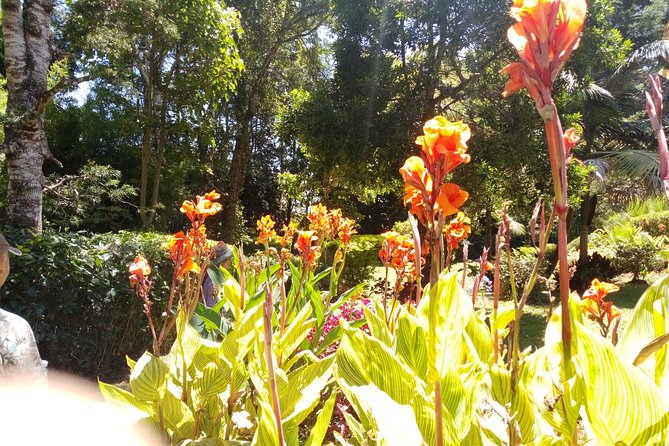 Excursion to Kiambethu Tea Farm - Clothing, timing, and useful planning advice