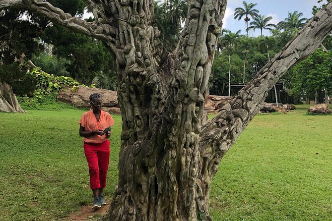 Experience Boti Waterfalls, Aburi Botanical Gardens & Tetteh Quarshie Cocoa Farm - Boti Waterfalls: the day’s main challenge
