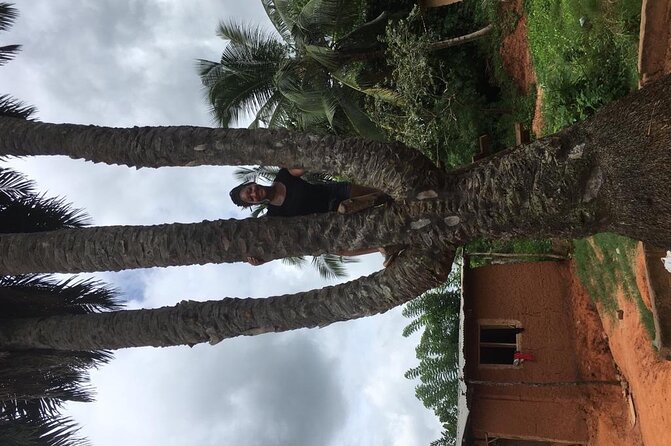 Experience Boti Waterfalls, Aburi Botanical Gardens & Tetteh Quarshie Cocoa Farm - Should you book Boti, Aburi, and cocoa in one day?