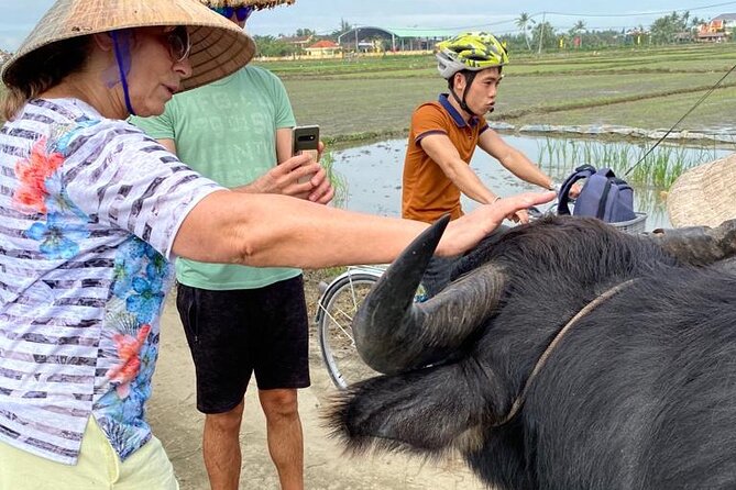 Experience Buffalo Ride and Farmer in Hoi An - Key points to know before booking