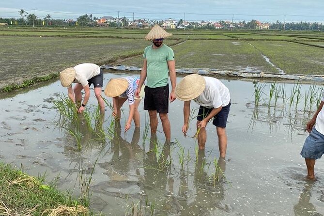 Experience Buffalo Ride and Farmer in Hoi An - Why this short Hoi An farm visit is worth your time