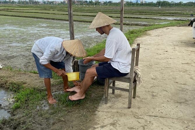 Experience Buffalo Ride and Farmer in Hoi An - Riding a real water buffalo in the rice paddy