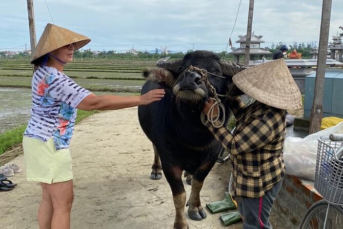 Experience Buffalo Ride and Farmer in Hoi An - Feeding the buffalo after the farm work