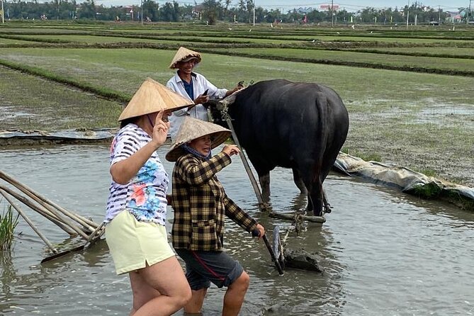 Experience Buffalo Ride and Farmer in Hoi An - Communication, comfort, and what to wear