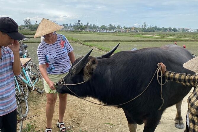 Experience Buffalo Ride and Farmer in Hoi An - Who will get the most from this experience