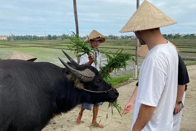 Experience Buffalo Ride and Farmer in Hoi An - Meeting the farmer at The Field Restaurant & Bar
