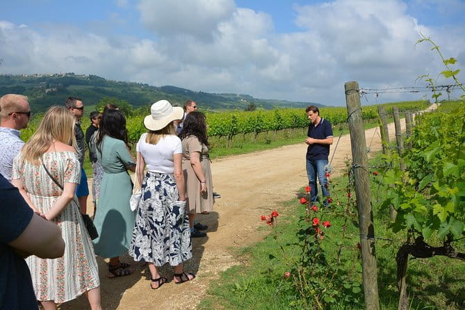 Experience Chianti & Cheese w/ 3 wineries & dairy visit—max 8 pp - Meeting at Via dei Renai at 9:45 a.m.