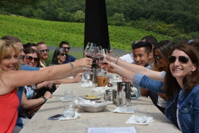 Experience Chianti & Cheese w/ 3 wineries & dairy visit—max 8 pp