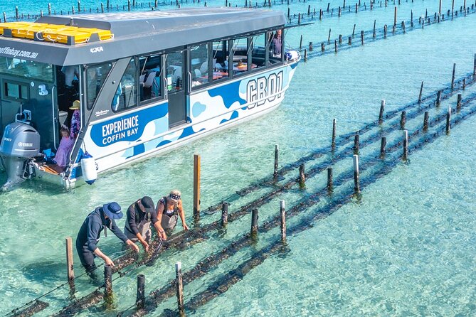 Experience Coffin Bay Oyster Farm and Bay Tour - Key things to know before you go