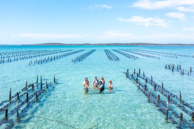 Experience Coffin Bay Oyster Farm and Bay Tour - Why this Coffin Bay tour feels different