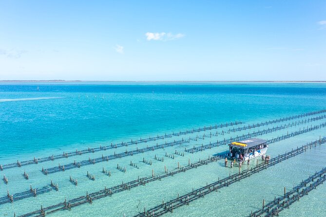 Experience Coffin Bay Oyster Farm and Bay Tour - Cruising past Coffin Bay National Park