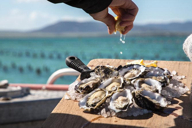 Experience Coffin Bay Oyster Farm and Bay Tour - Brothers islands and the chance of dolphins