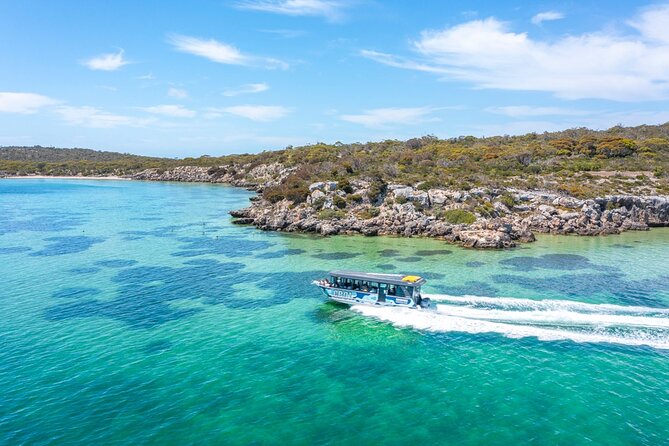 Experience Coffin Bay Oyster Farm and Bay Tour - Guides who know the work firsthand