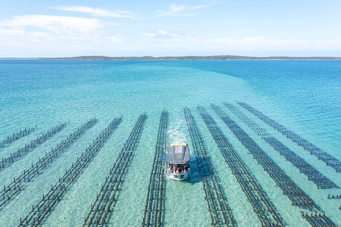 Experience Coffin Bay Oyster Farm and Bay Tour - Is $132.69 good value?