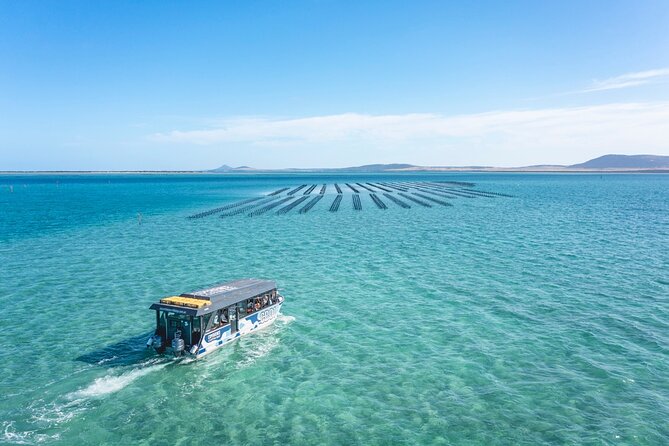 Experience Coffin Bay Oyster Farm and Bay Tour - Who will enjoy this most?