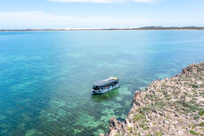 Experience Coffin Bay Short and Sweet Oyster Farm Tour - Six oysters, freshly prepared during the cruise