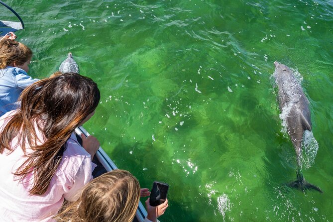 Experience Coffin Bay Short and Sweet Oyster Farm Tour - What the $64.55 price includes