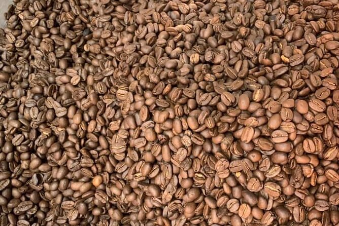 Experience Making specialty coffee in Da Lat City - Natural processing and washed processing in plain language