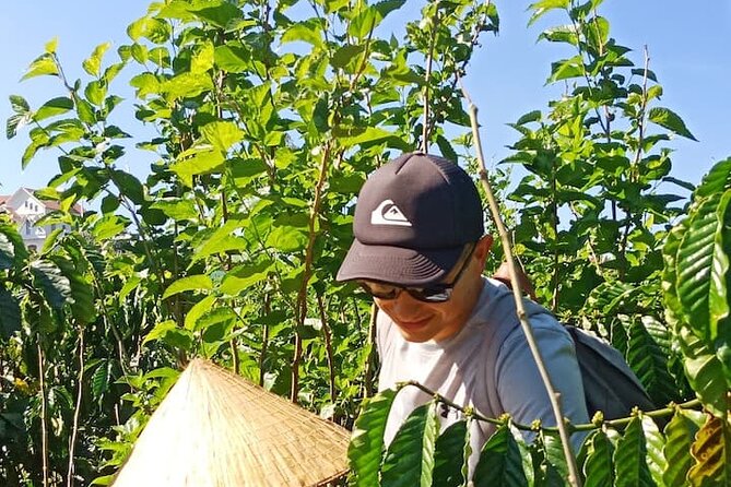 Experience Making specialty coffee in Da Lat City - Tasting coffee without the usual sweet additions