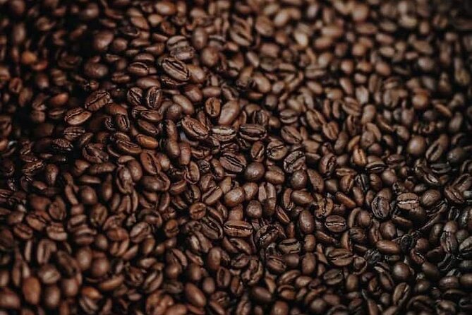 Experience Making specialty coffee in Da Lat City - What the one-hour schedule means for you